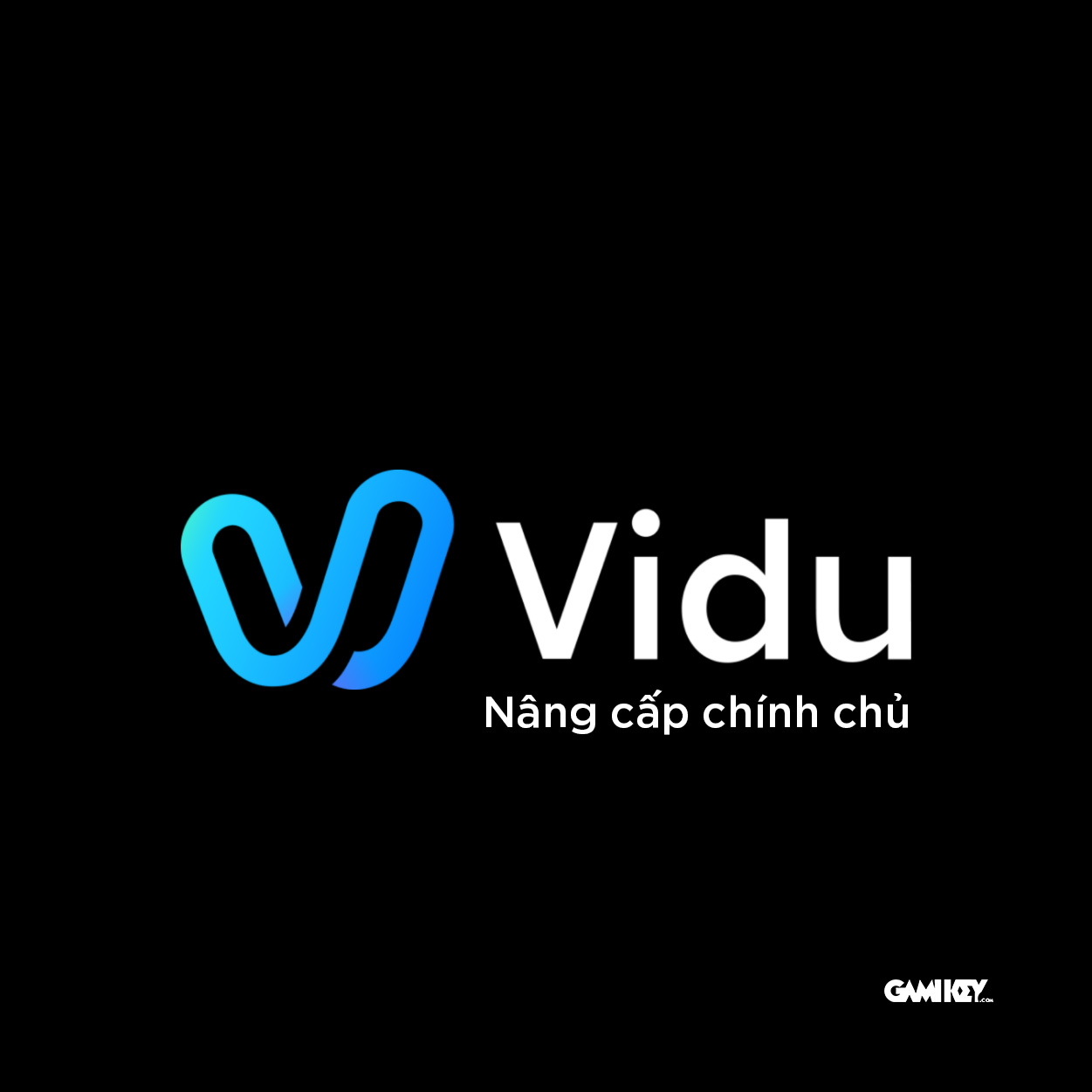 Nâng cấp tài khoản Vidu AI Standard 1 tháng