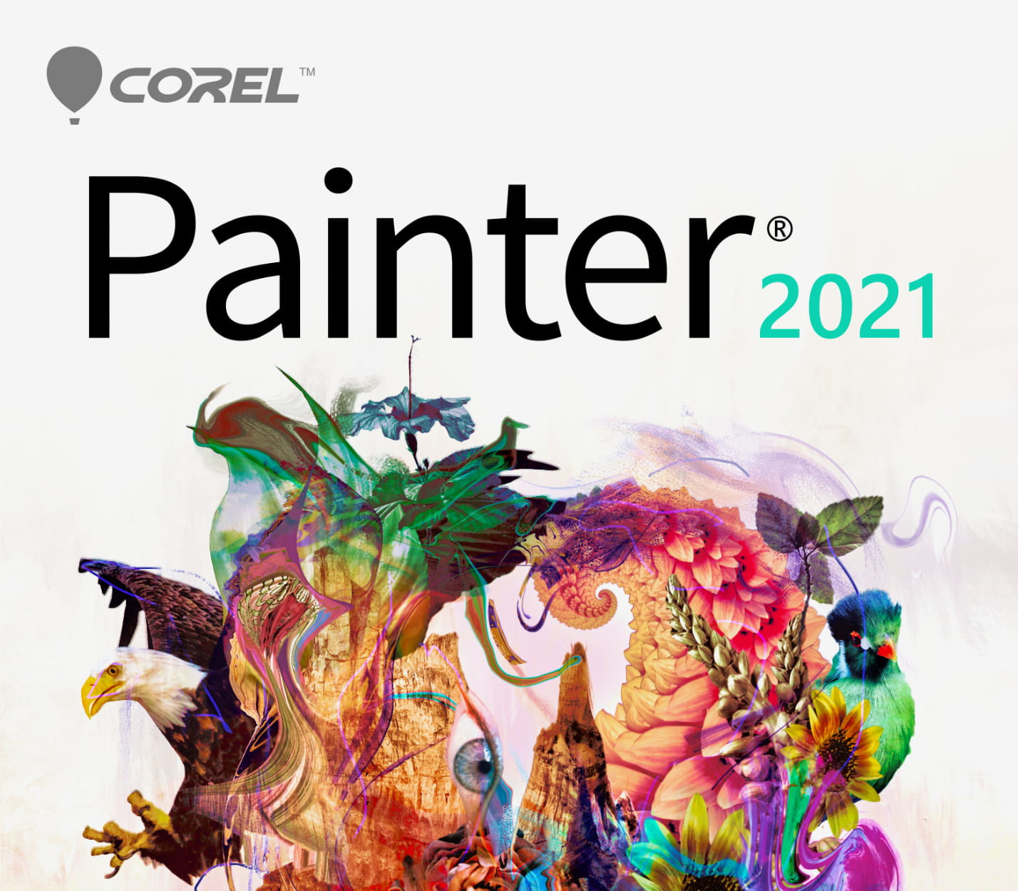 Key Kích Hoạt Corel Painter 2021 CD Key